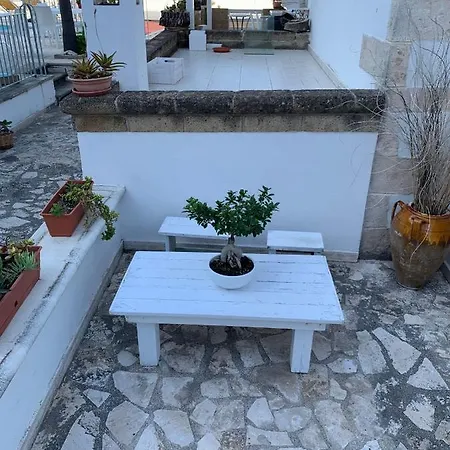 Giumar * فيستَ